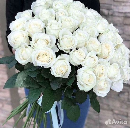 Высокие Розы Гиганты Доставка Круглосуточно