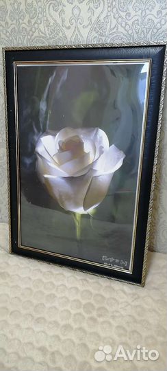Картина роза