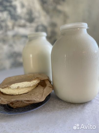 Козье молоко домашнее