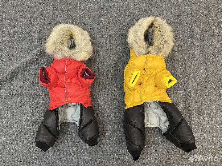 Одежда для маленьких собак