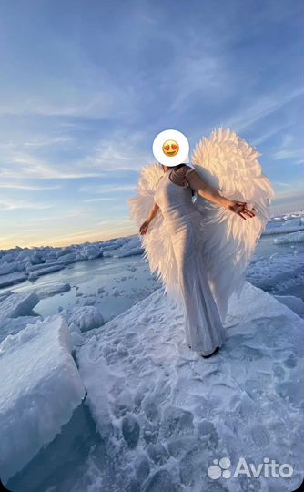 Крылья Ангела в прокат