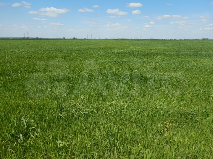 Участок 5,7 га (СНТ, ДНП)