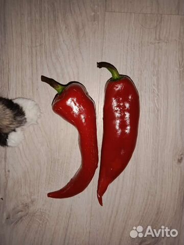 Жизнь продлевают -боярышник, кизил, годжи