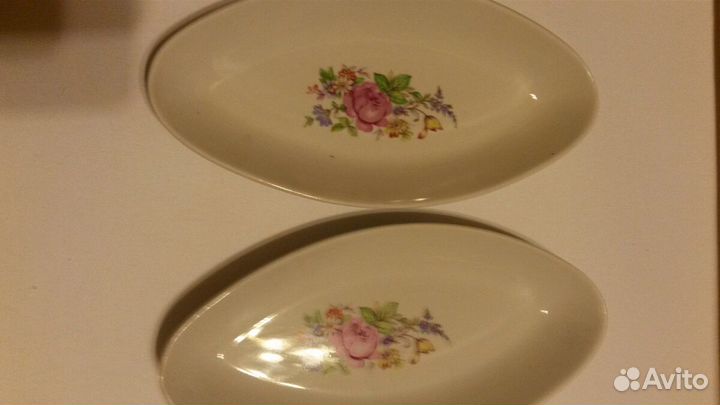 Селедочницы разные