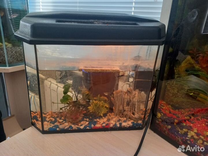 Аквариумы от 100 литров