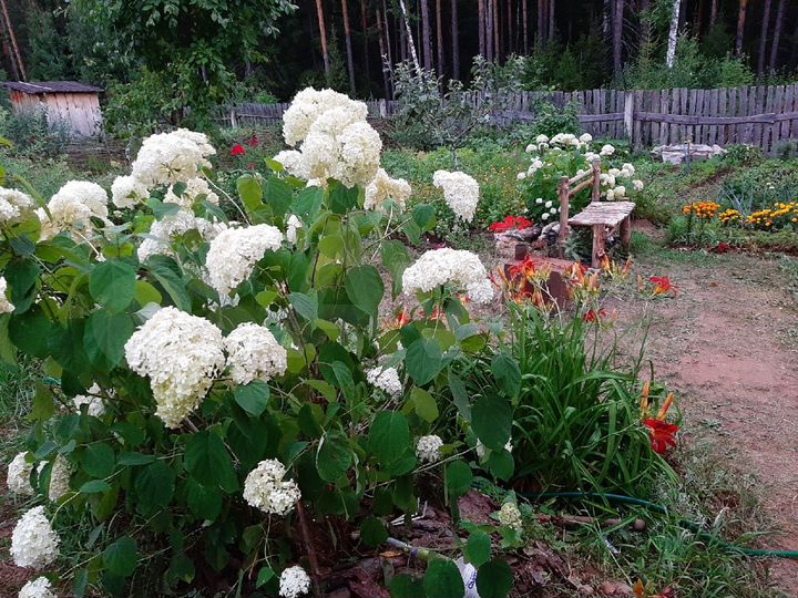 Участок 4 сот. (СНТ, ДНП)