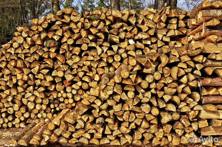Дрова Сухие