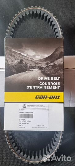 Ремень вариатора BRP 422280366