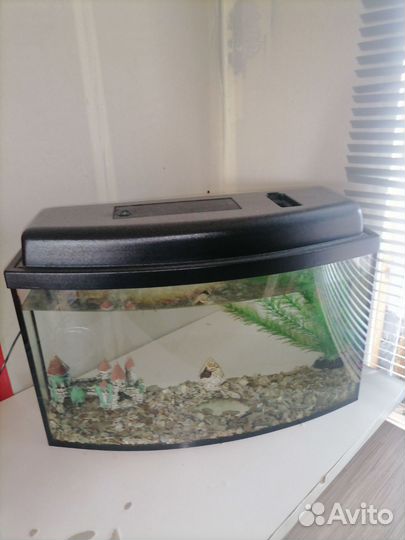 Аквариум
