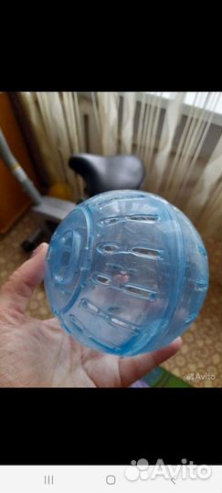 Шар и колесо для грызунов