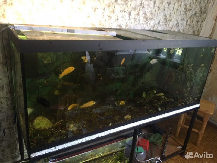 Аквариум