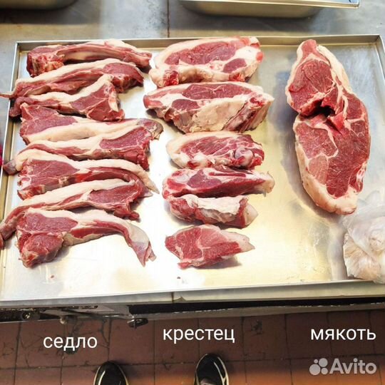 Мясо Баранина