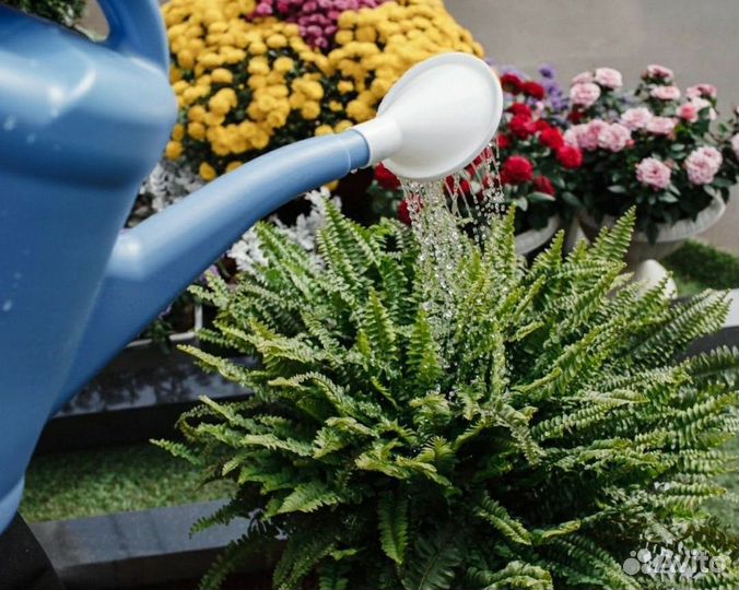 Благоустройство мест захоронения