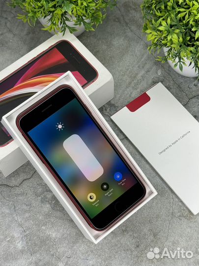 iPhone SE (2020), 64 ГБ