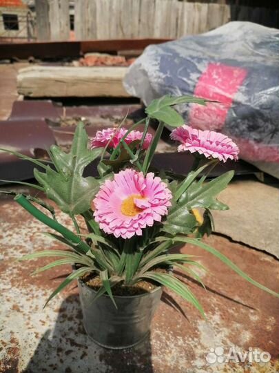 Фигурки 20 шт.Статуэтки.Сувениры.Всё отдам за 1300