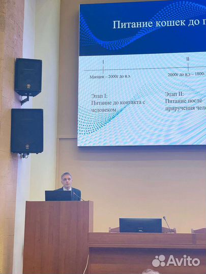 Репетитор по химии