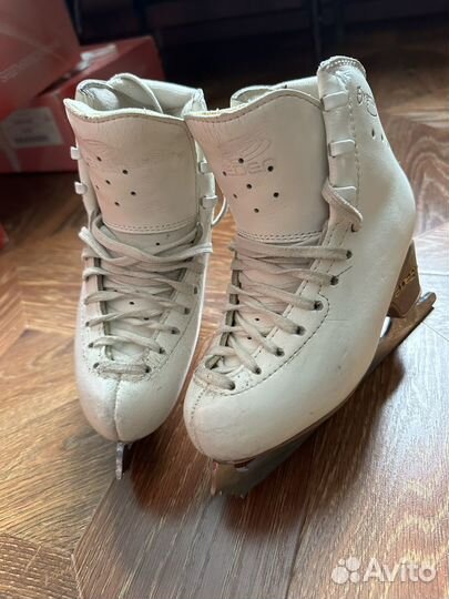 Коньки фигурные edea overture 200