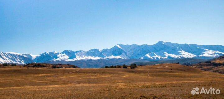 Фото Горного Алтая