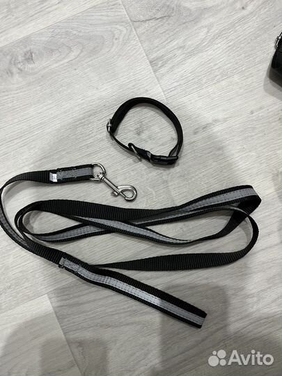 Ошейник и поводок для собак