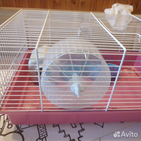 Товары для животных