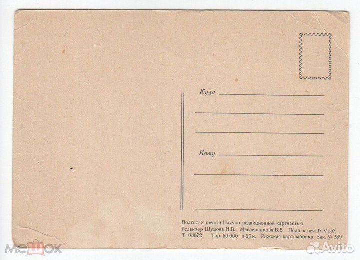 Открытка Шумова Окрестности Москвы 1957 Чистая