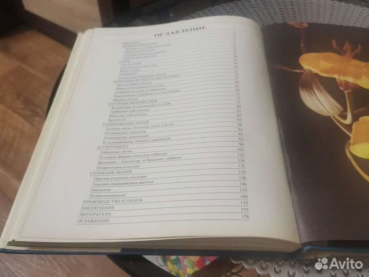 Цветы в садовом дизайне