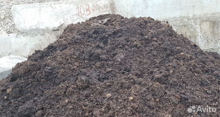 Перегной коровий