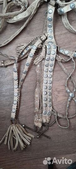 Шлея для лошади