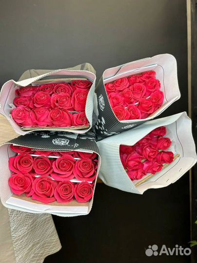 Роза Эквадор букет опт