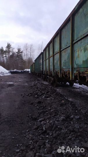 Каменный уголь в Зеленогорске