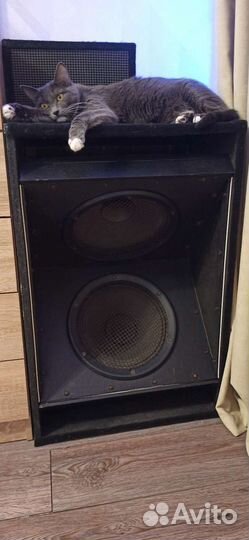 Акустика пассивная ном мощь 300 ватт