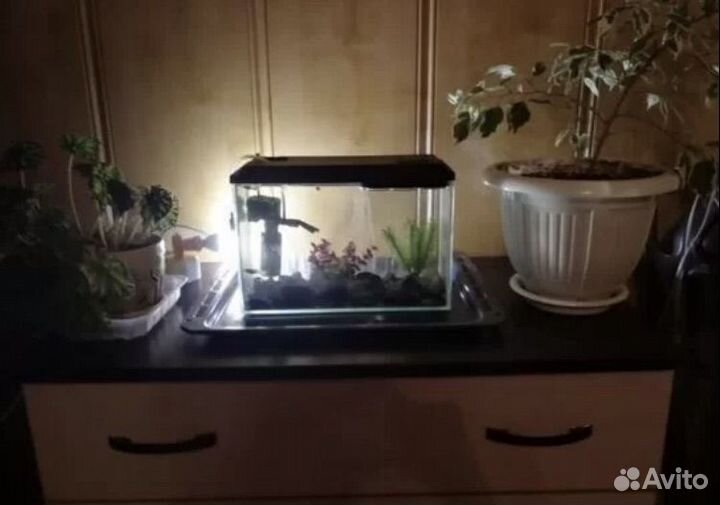 Аквариум