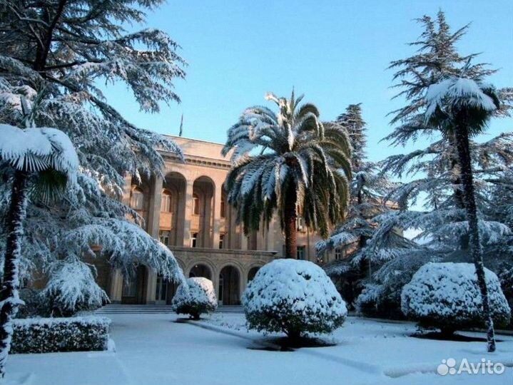 Экскурсия в Абхазию Золотое Кольцо 13 часов