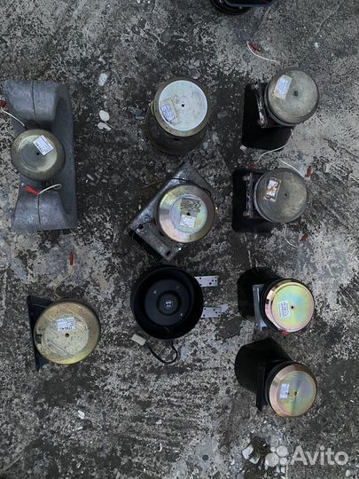 Колокол СГУ элина