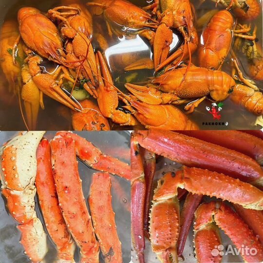 Живые раки с доставкой