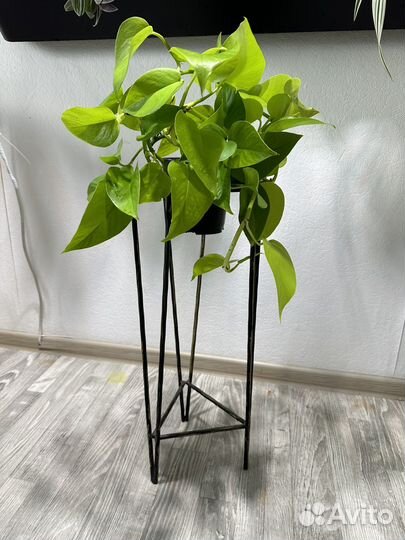 Металлическая подставка для цветов