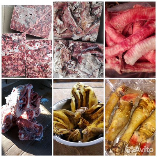 Продам мясо, фарш, кости для собак с доставкой
