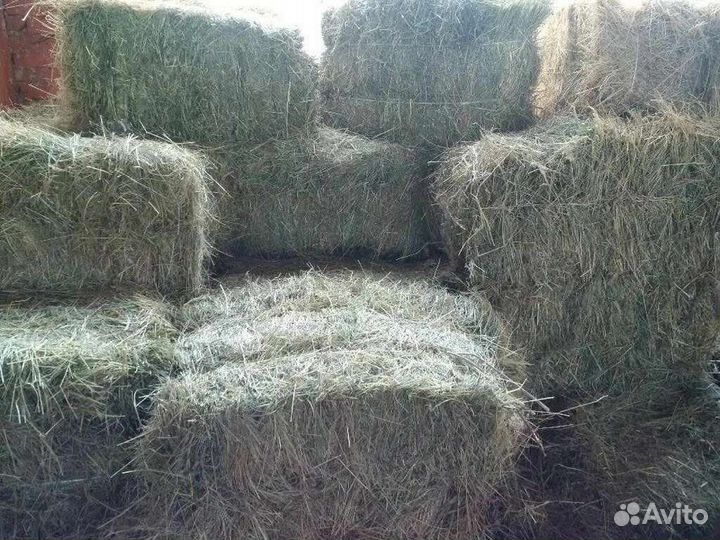 Сено в брикетах