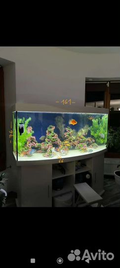 Большой аквариум с рыбками, тумбой и оборудованием