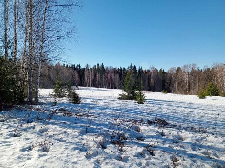 Участок 2 га (СНТ, ДНП)