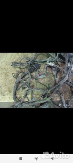 Проводка подкапотная Форд фокус 2