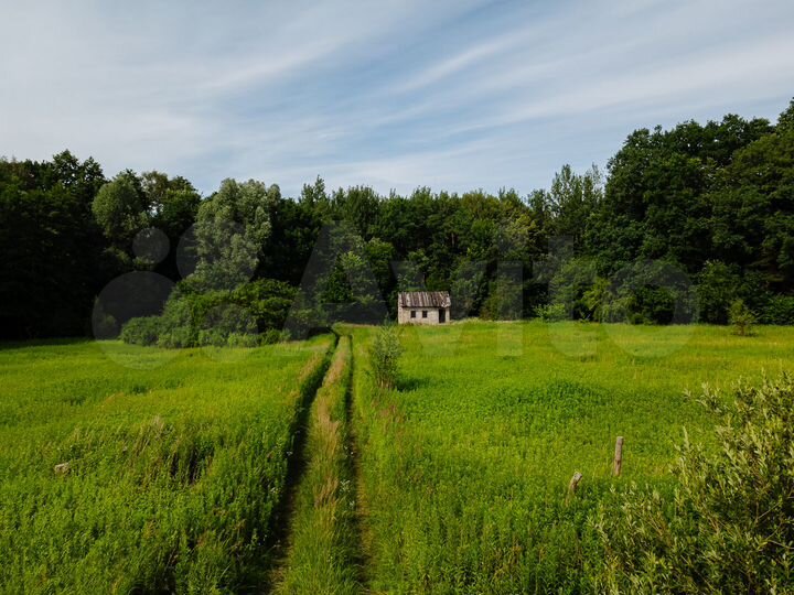 Участок 23,9 сот. (СНТ, ДНП)