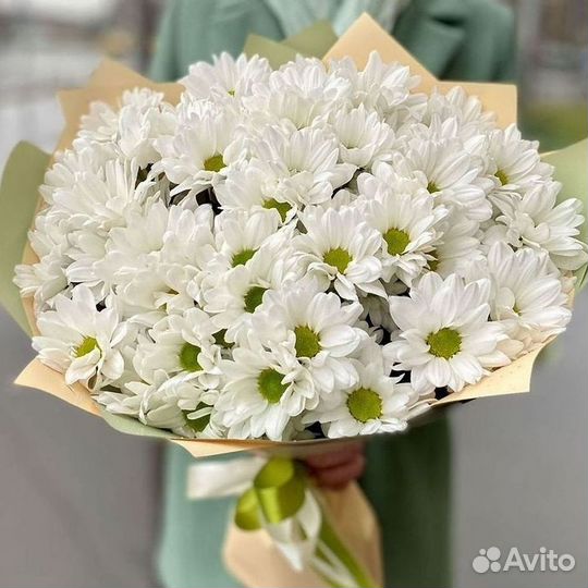 Хризантема. Букеты Цветы доставка