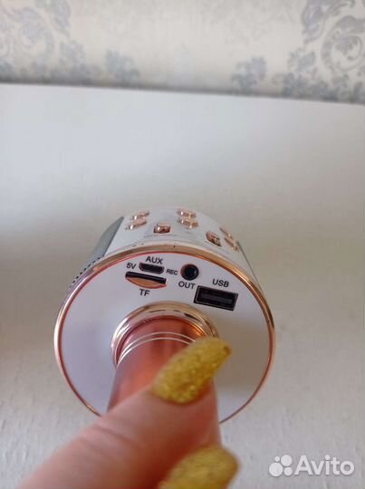 Колонка с микрофоном