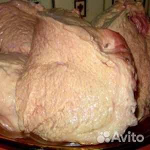 Еда для собак