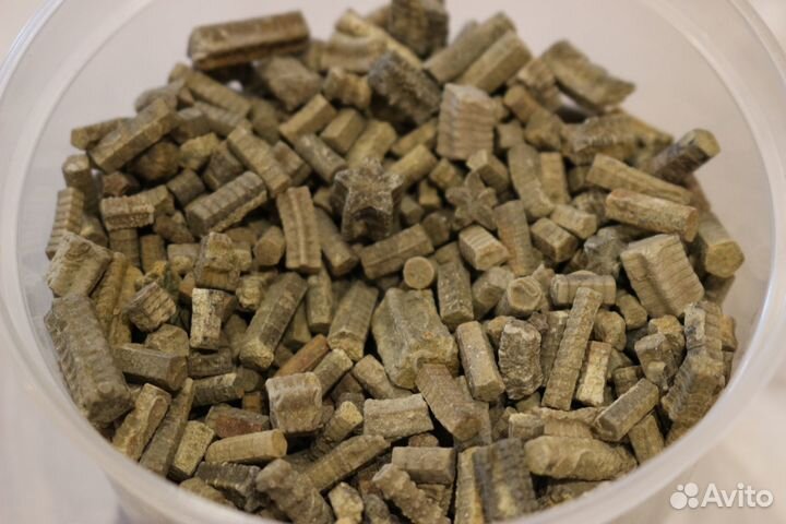 Стебли морских лилий