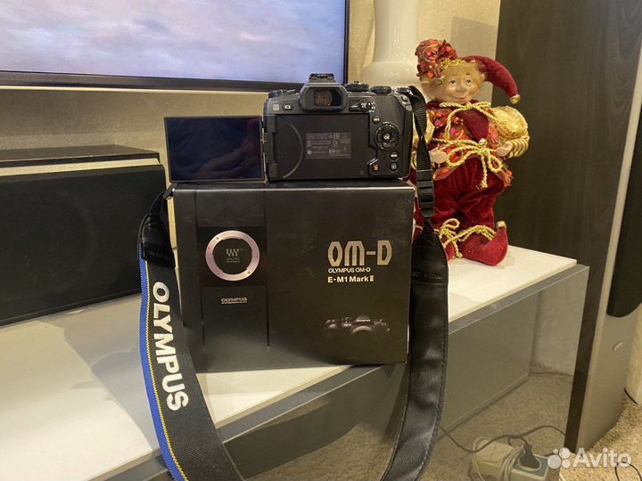 Фотоаппарат Olympus OM-D E-M1 Mark II Kit
