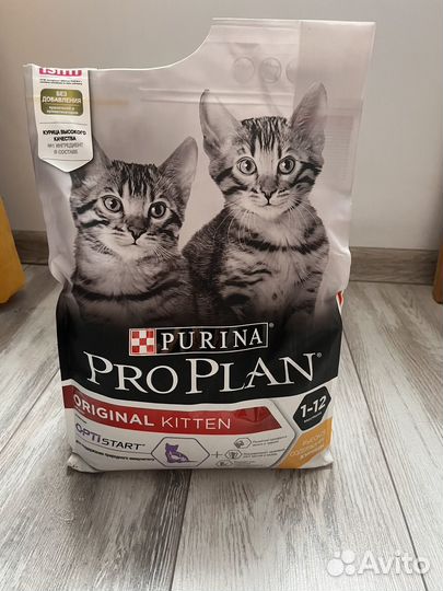 Корм для котят проплан