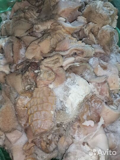 Мясо говядина для собак, всегда в наличии