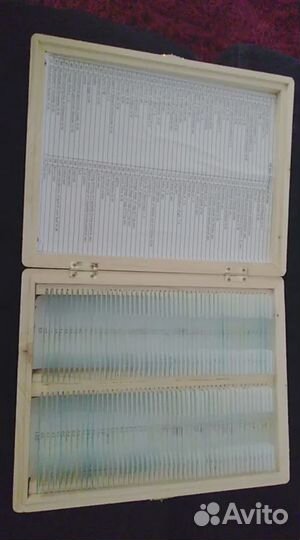 100шт образцов для просмотра в микроскоп